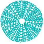 3 1 E1768676684290 150x150