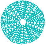 Cropped 3 1 E1768676684290 150x150