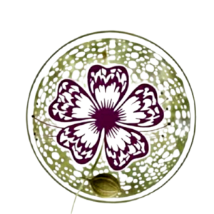 logo sal de coco (3)